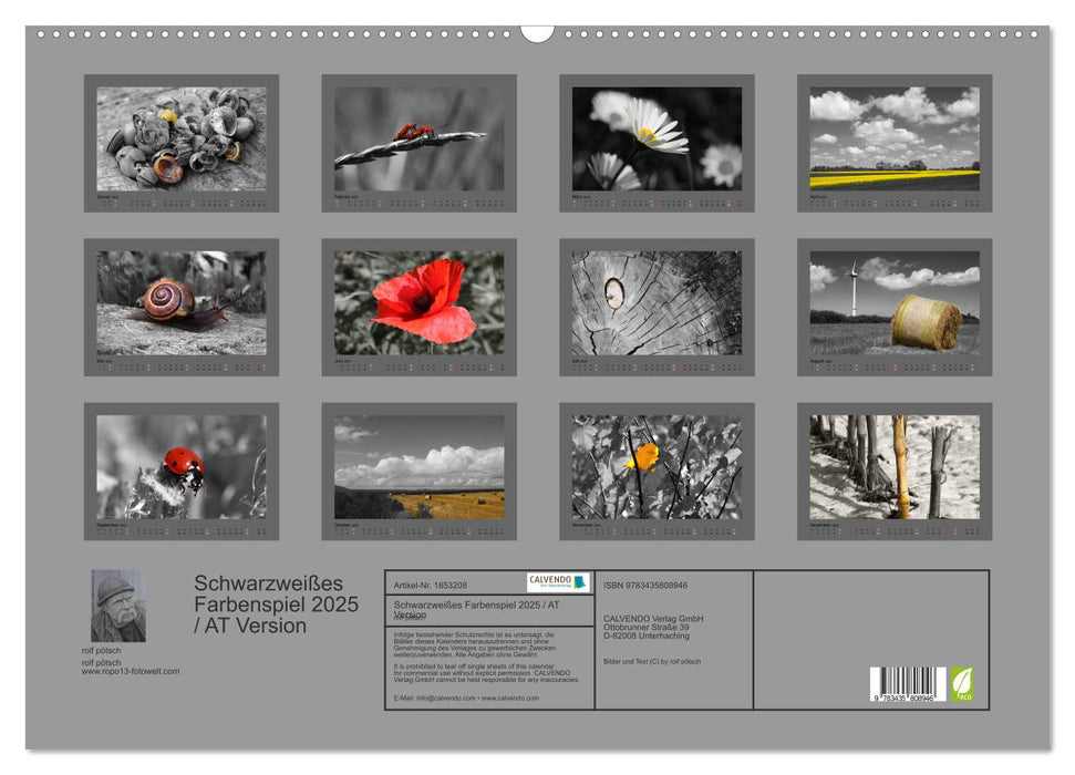 Schwarzweißes Farbenspiel 2025 / AT Version (CALVENDO Wandkalender 2025)