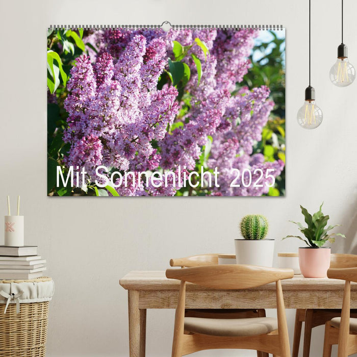 Mit Sonnenlicht (CALVENDO Wandkalender 2025)