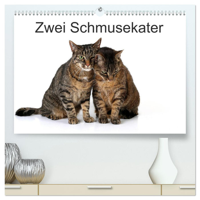 Zwei Schmusekater (CALVENDO Premium Wandkalender 2025)