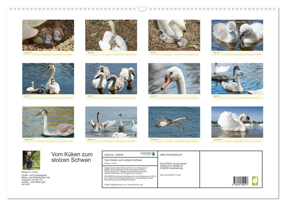 Vom Küken zum stolzen Schwan (CALVENDO Wandkalender 2025)