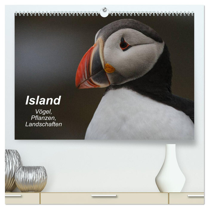 Island: Vögel, Pflanzen, Landschaften (CALVENDO Premium Wandkalender 2025)