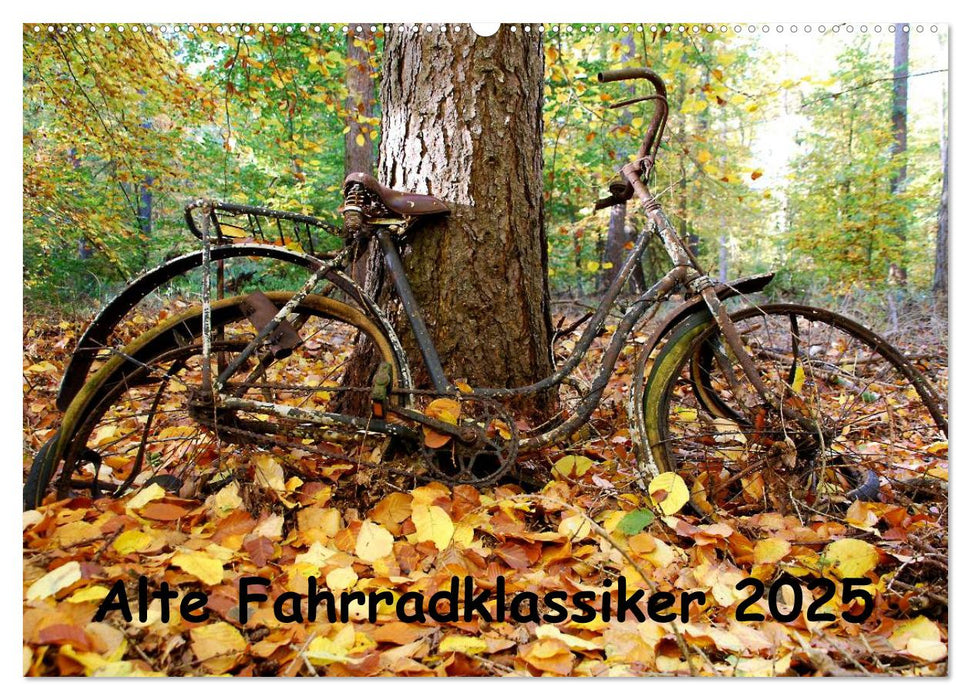 Alte Fahrradklassiker 2025 (CALVENDO Wandkalender 2025)