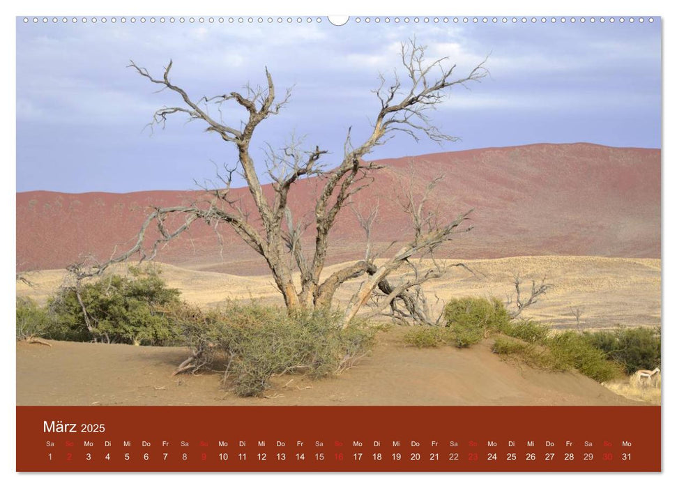 Namibia (CALVENDO Premium Wandkalender 2025)