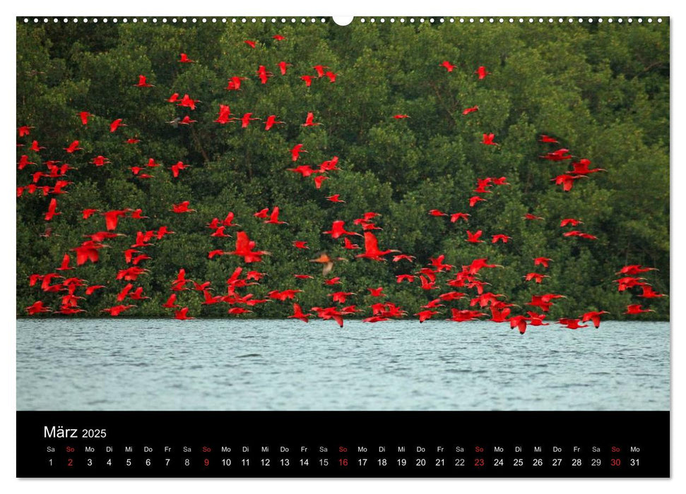 Trinidad & Tobago (CALVENDO Wandkalender 2025)