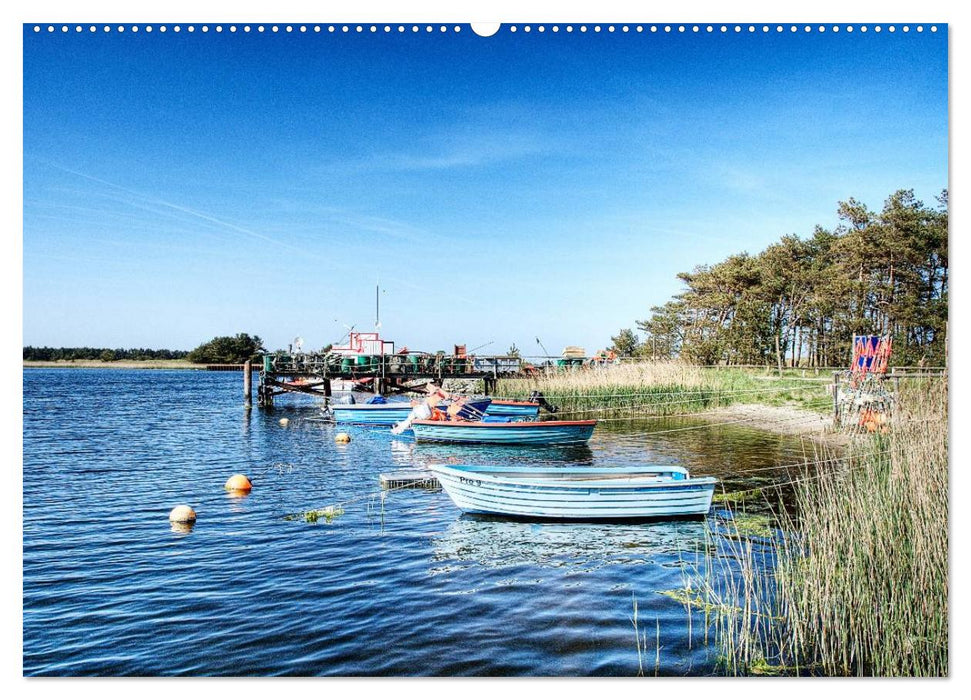 Ostseeküste 2025 (CALVENDO Premium Wandkalender 2025)