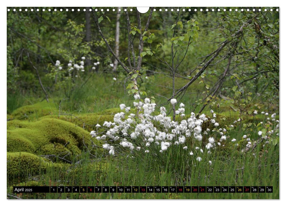 2025 Schweden ein Traum (CALVENDO Wandkalender 2025)