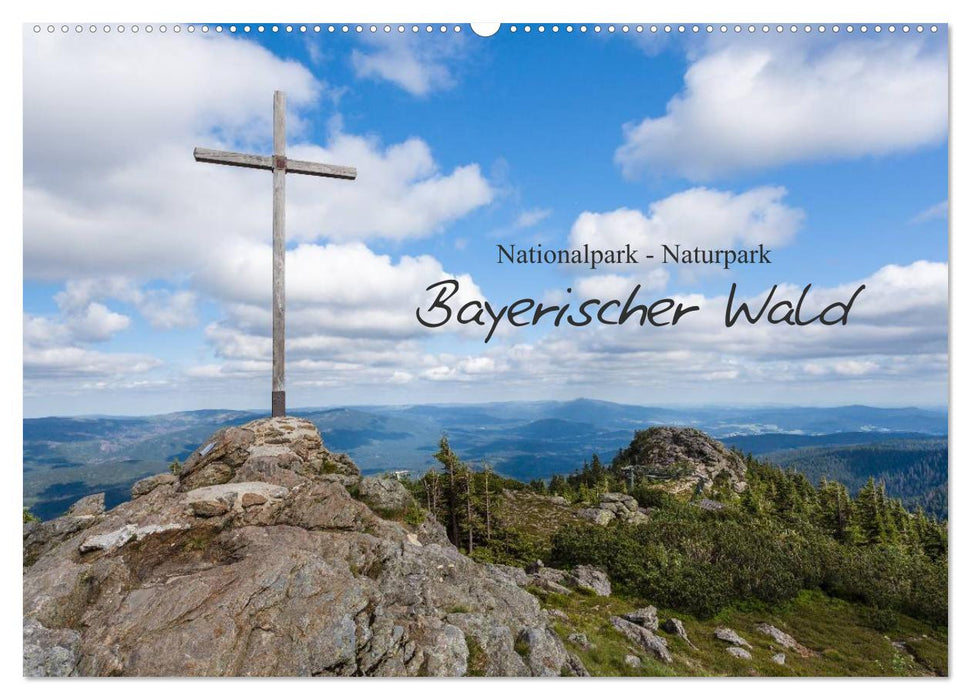 Bayerischer Wald (CALVENDO Wandkalender 2025)