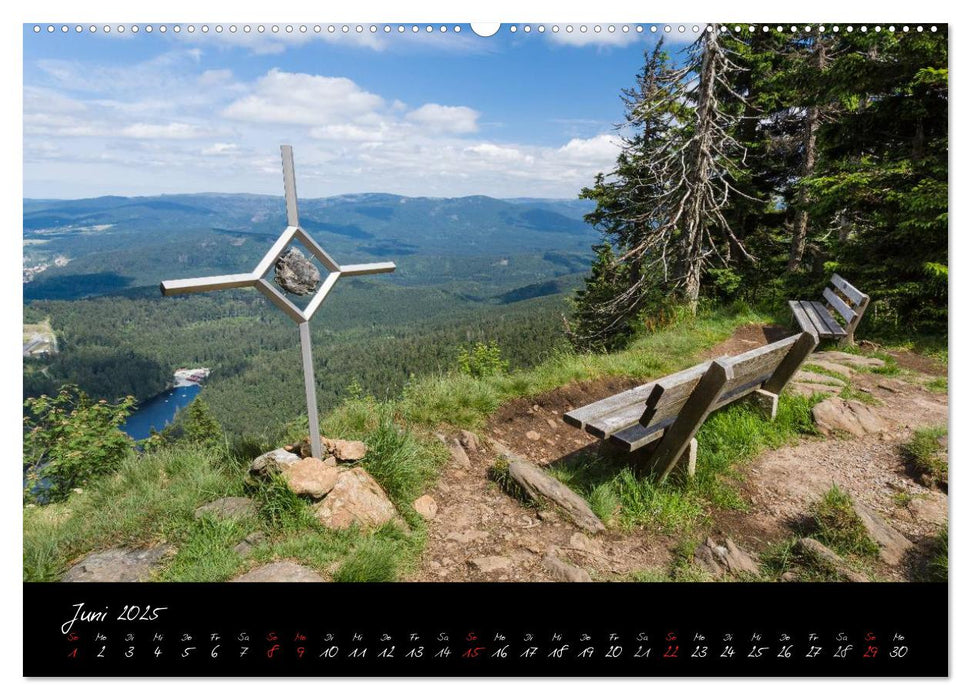 Bayerischer Wald (CALVENDO Wandkalender 2025)