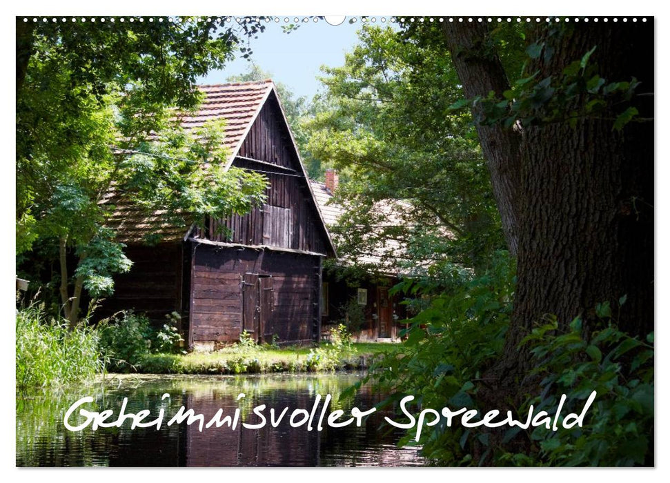 Geheimnisvoller Spreewald (CALVENDO Wandkalender 2025)