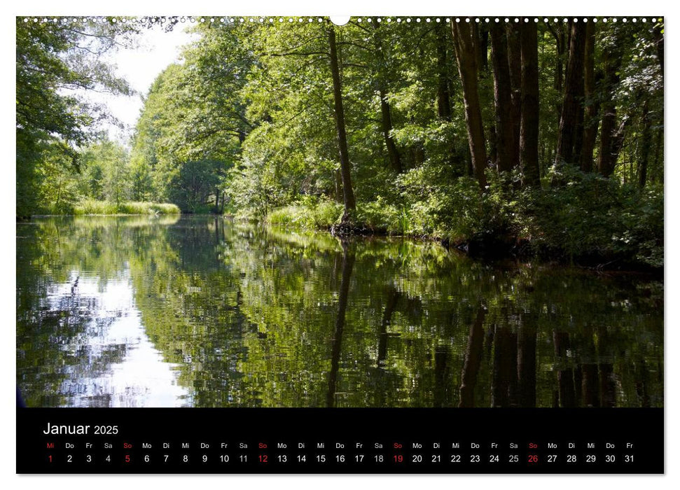 Geheimnisvoller Spreewald (CALVENDO Wandkalender 2025)