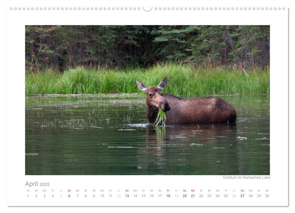 Alaska 2025 (CALVENDO Premium Wandkalender 2025)