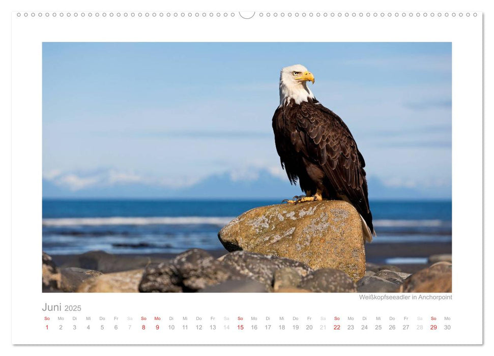 Alaska 2025 (CALVENDO Premium Wandkalender 2025)