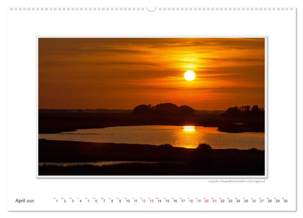 Emotionale Momente: Texel - Insel im Wattenmeer. (CALVENDO Premium Wandkalender 2025)