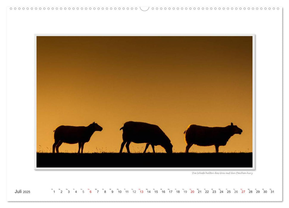 Emotionale Momente: Texel - Insel im Wattenmeer. (CALVENDO Premium Wandkalender 2025)