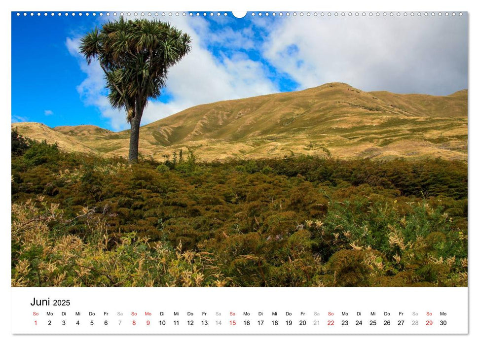 Traumhaftes Neuseeland (CALVENDO Premium Wandkalender 2025)