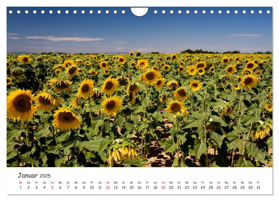 Malerische Provence (CALVENDO Wandkalender 2025)