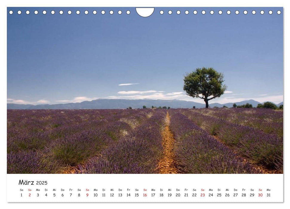 Malerische Provence (CALVENDO Wandkalender 2025)