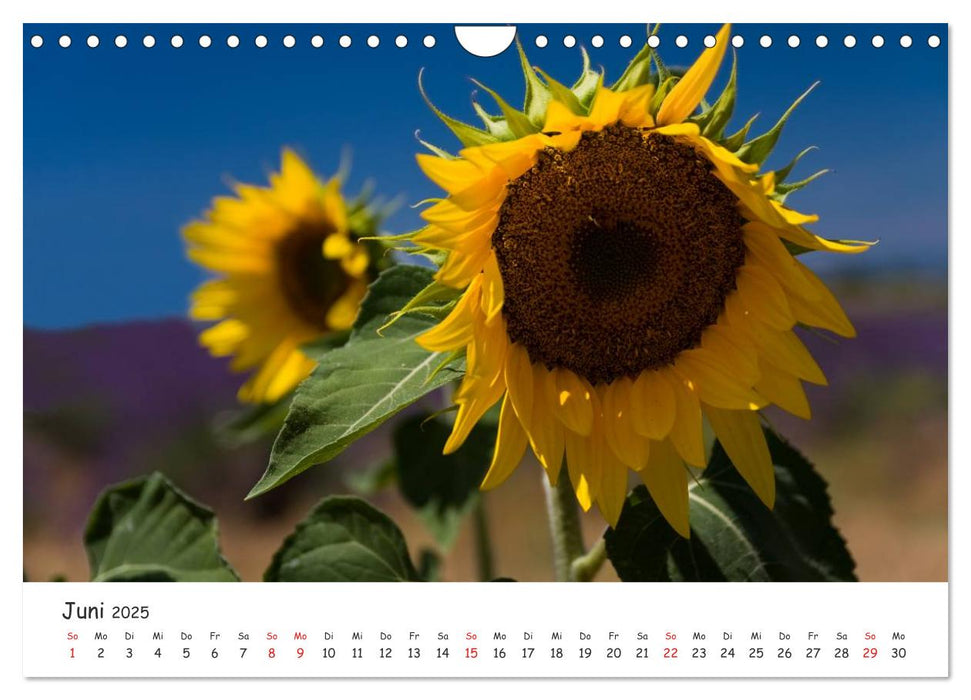 Malerische Provence (CALVENDO Wandkalender 2025)