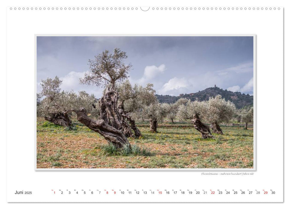 Emotionale Momente: Mallorca - der Westen. (CALVENDO Premium Wandkalender 2025)