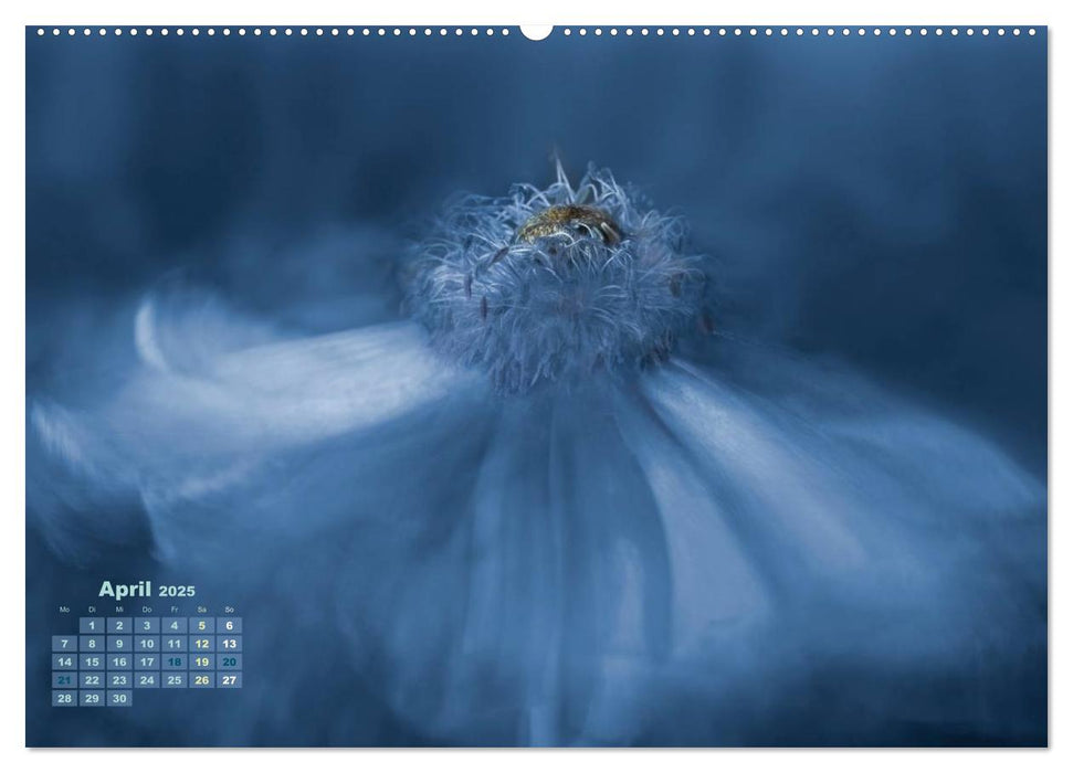 Zauberhafte Blüten (CALVENDO Premium Wandkalender 2025)