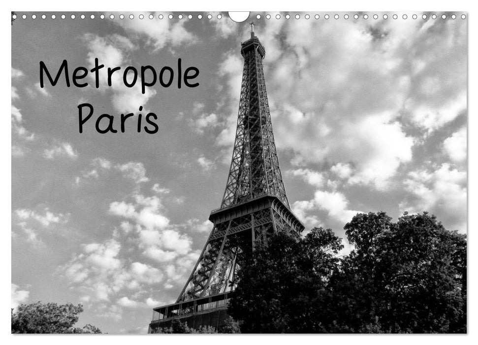 Metropole Paris (CALVENDO Wandkalender 2025)