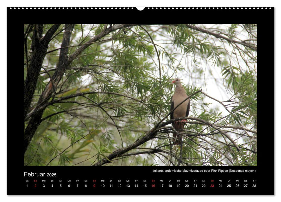 Mauritius - traumhaft und unvergesslich (CALVENDO Premium Wandkalender 2025)