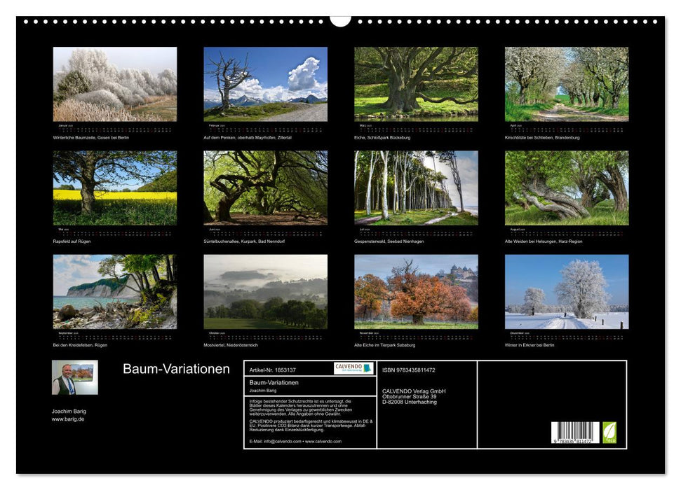 Baum-Variationen (CALVENDO Wandkalender 2025)