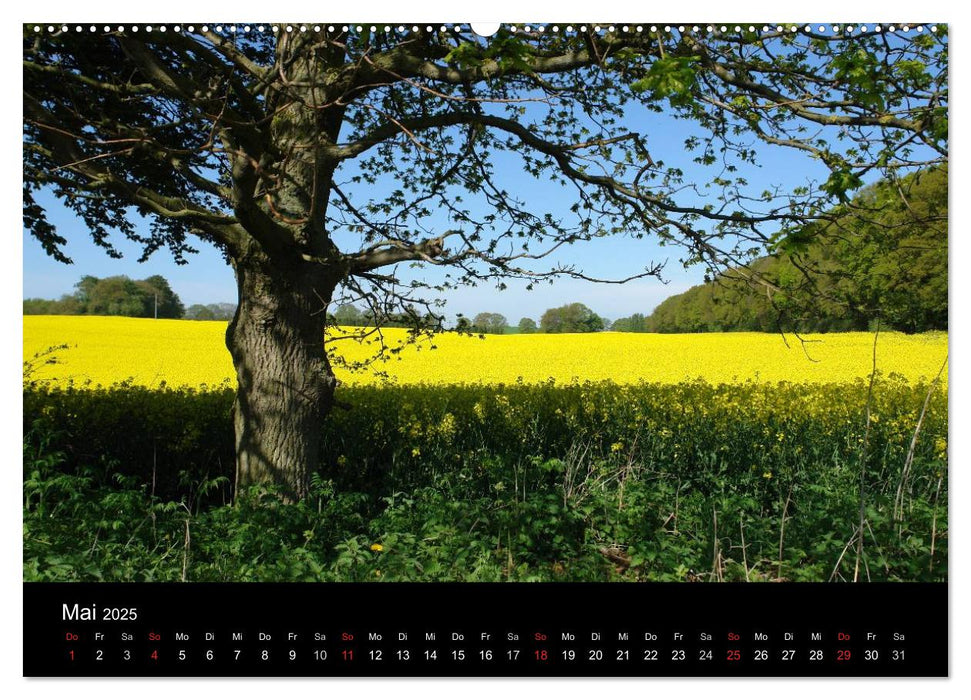 Baum-Variationen (CALVENDO Wandkalender 2025)