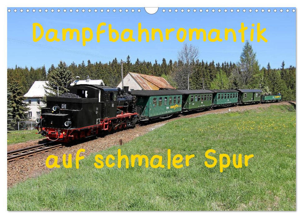 Dampfbahnromantik auf schmaler Spur (CALVENDO Wandkalender 2025)