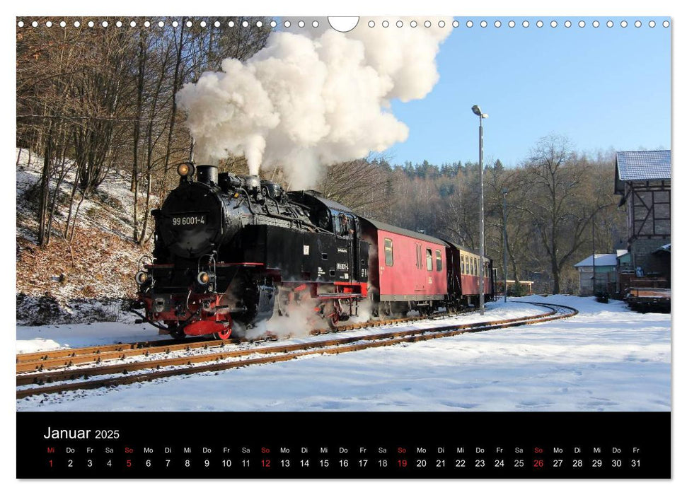 Dampfbahnromantik auf schmaler Spur (CALVENDO Wandkalender 2025)