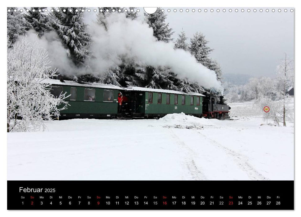 Dampfbahnromantik auf schmaler Spur (CALVENDO Wandkalender 2025)