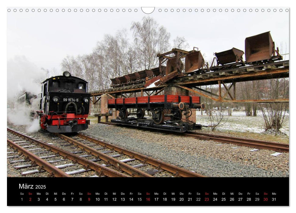 Dampfbahnromantik auf schmaler Spur (CALVENDO Wandkalender 2025)