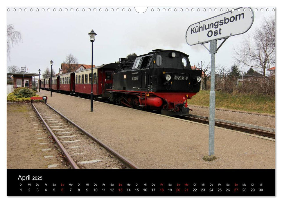 Dampfbahnromantik auf schmaler Spur (CALVENDO Wandkalender 2025)