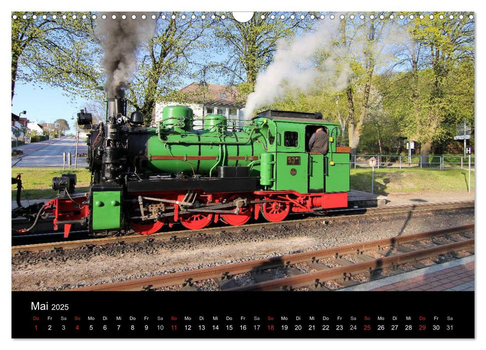 Dampfbahnromantik auf schmaler Spur (CALVENDO Wandkalender 2025)