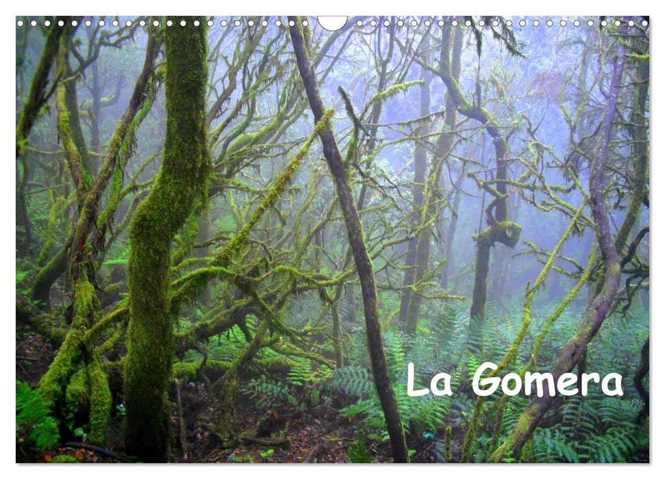 La Gomera (CALVENDO Wandkalender 2025)