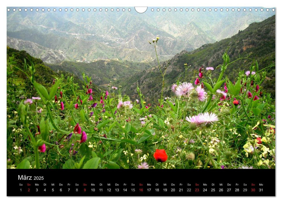 La Gomera (CALVENDO Wandkalender 2025)