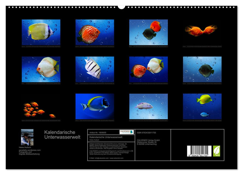 Kalendarische Unterwasserwelt (CALVENDO Premium Wandkalender 2025)