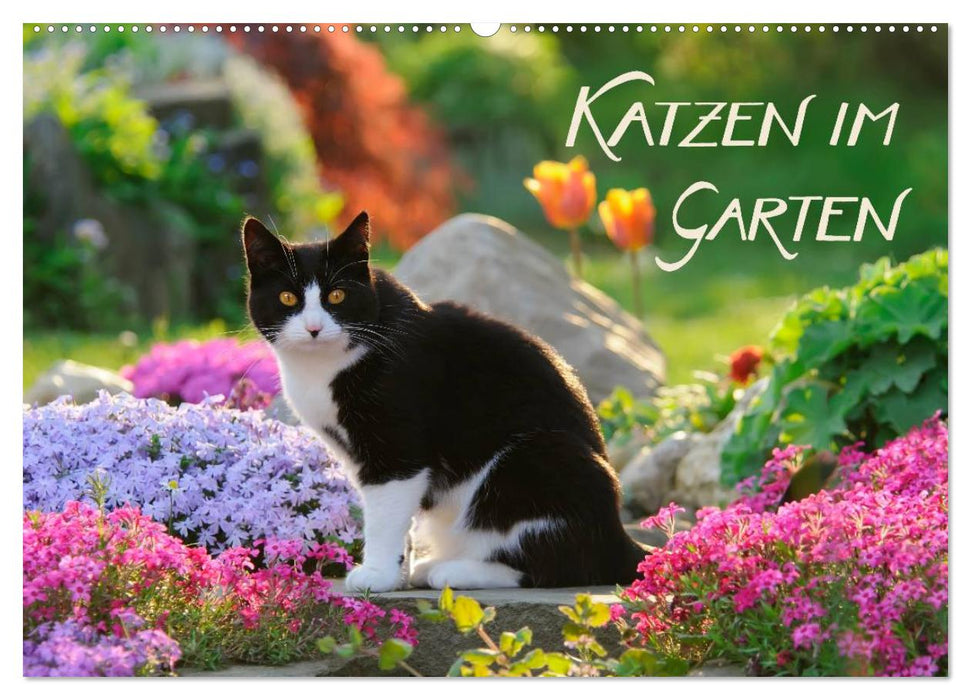 Katzen im Garten (CALVENDO Wandkalender 2025)