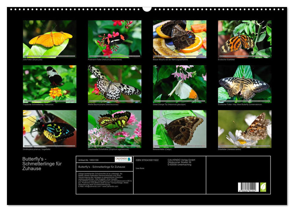 Butterfly's - Schmetterlinge für Zuhause (CALVENDO Wandkalender 2025)