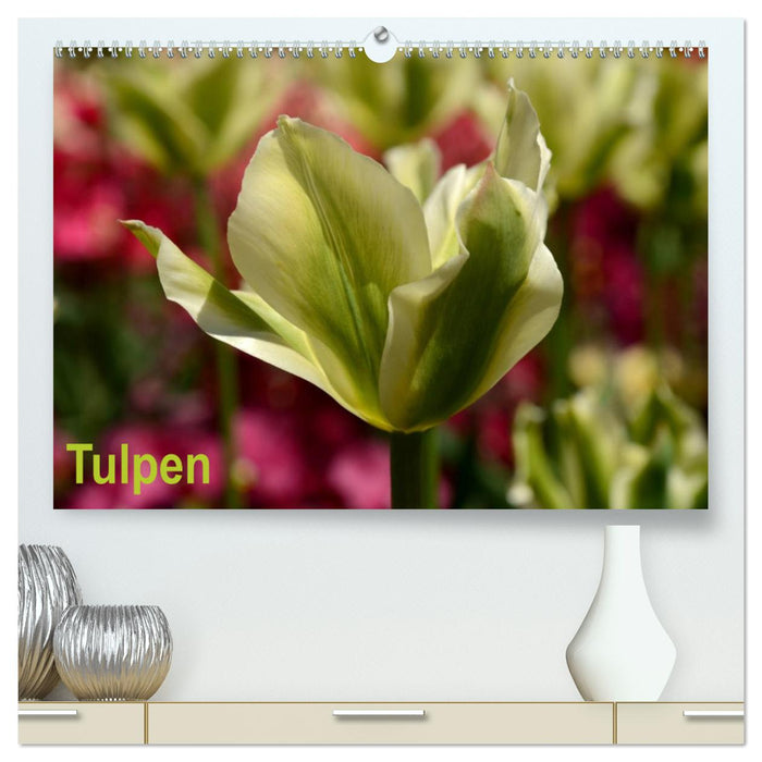 Tulpen (CALVENDO Premium Wandkalender 2025)