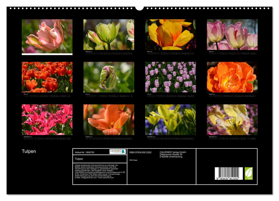 Tulpen (CALVENDO Premium Wandkalender 2025)