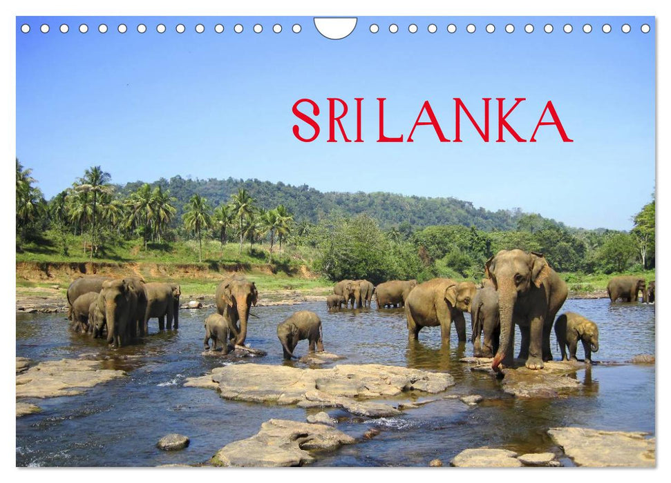 Sri Lanka (CALVENDO Wandkalender 2025)