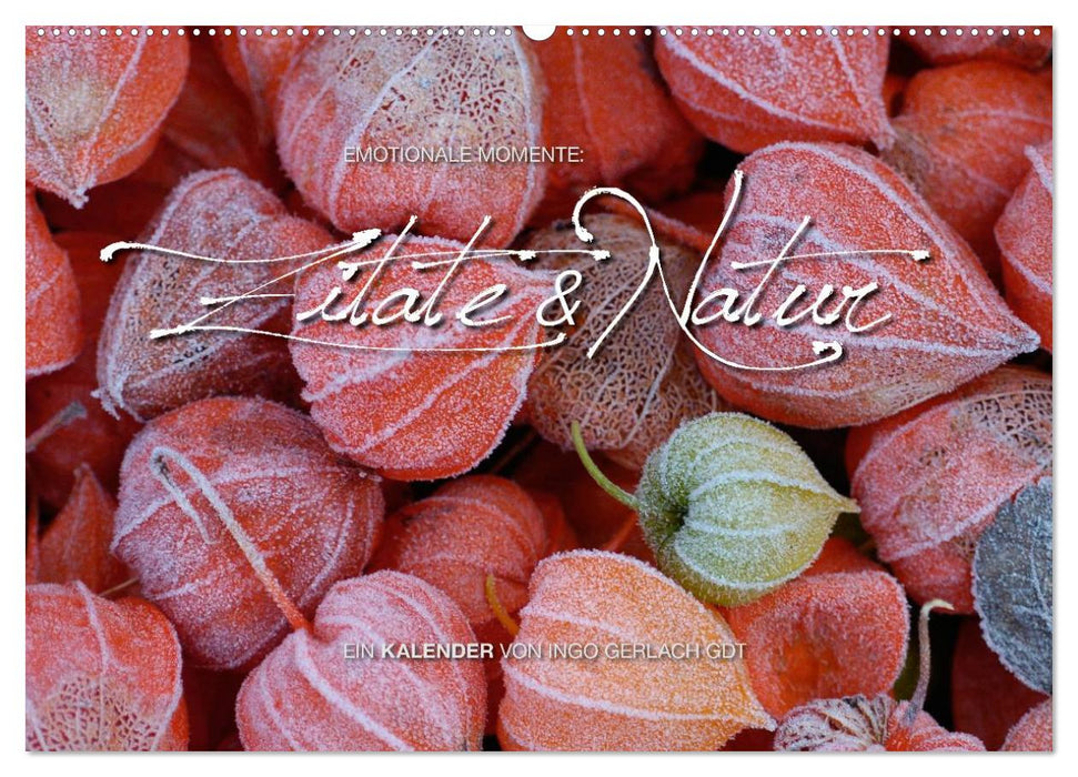 Emotionale Momente: Zitate & Natur (CALVENDO Wandkalender 2025)