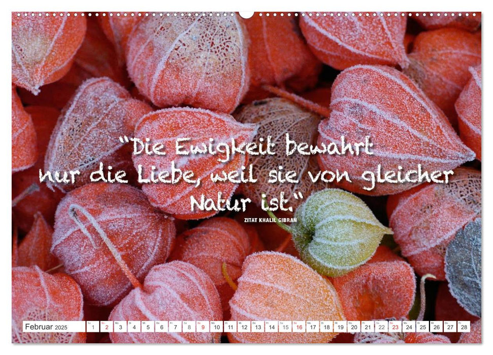 Emotionale Momente: Zitate & Natur (CALVENDO Wandkalender 2025)