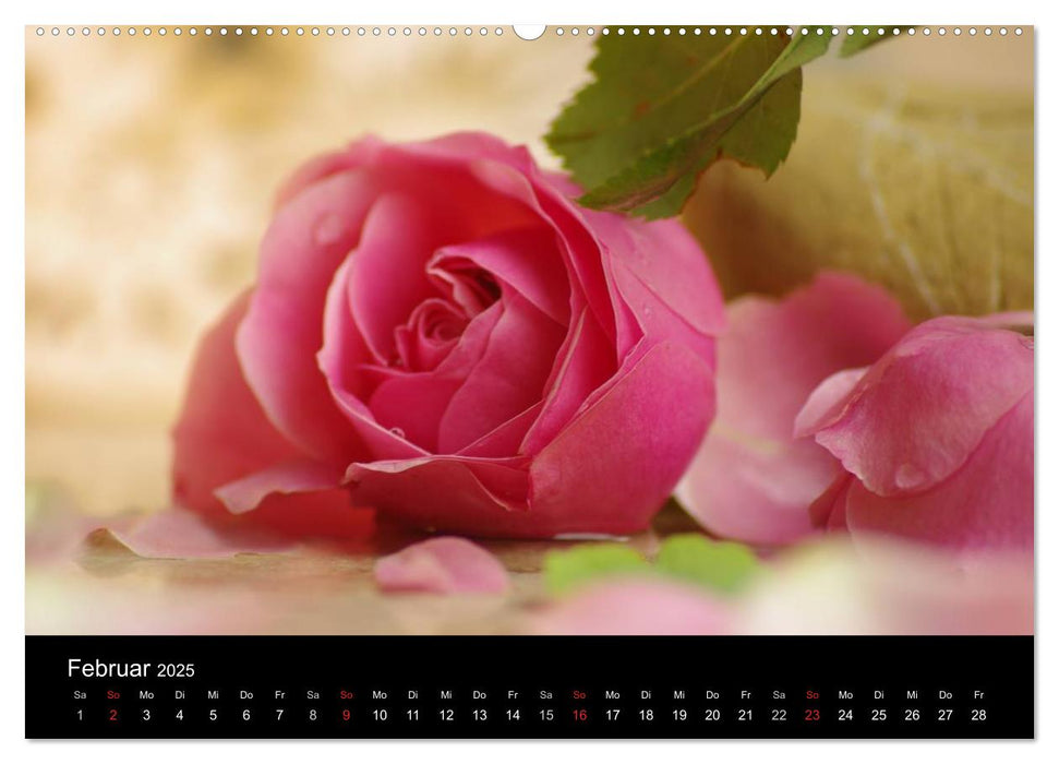 Rosen und Mohnblüten Momente Schweizer Edition (CALVENDO Premium Wandkalender 2025)