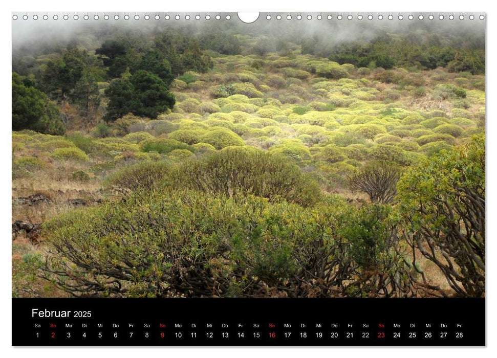 Insel El Hierro - Perle der Kanaren (CALVENDO Wandkalender 2025)