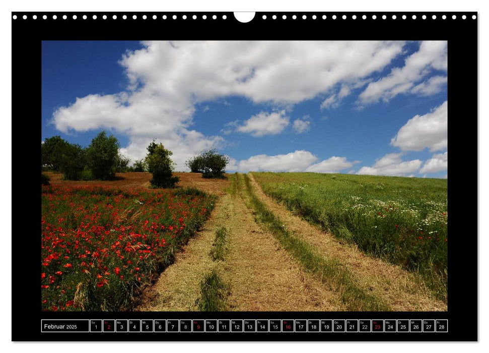 Roter Mohn, bunte Wiesen (CALVENDO Wandkalender 2025)