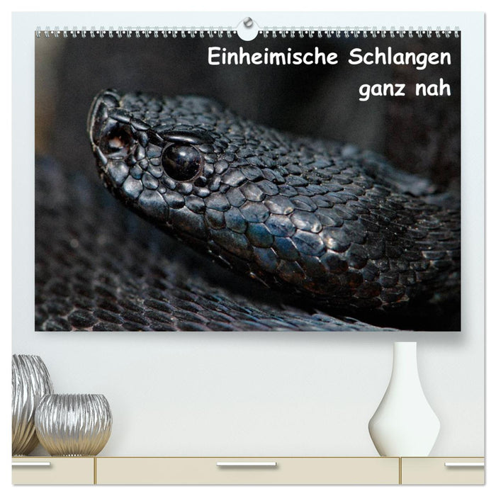 Einheimische Schlangen ganz nah (CALVENDO Premium Wandkalender 2025)