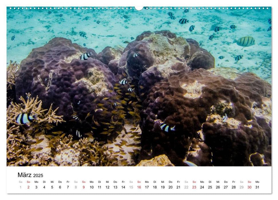 Unterwasserwelt der Malediven II (CALVENDO Wandkalender 2025)