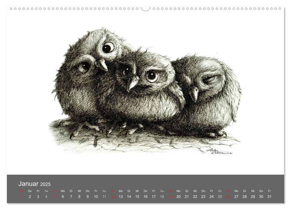 owls & friends 2025 (CALVENDO Premium Wandkalender 2025)
